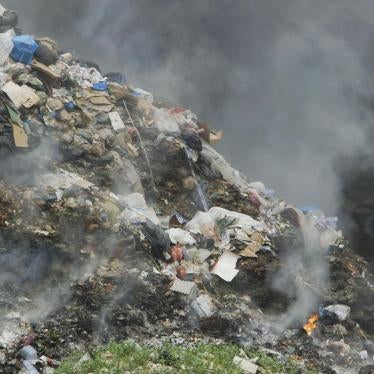 Open burning of waste in Majadel, south Lebanon. 