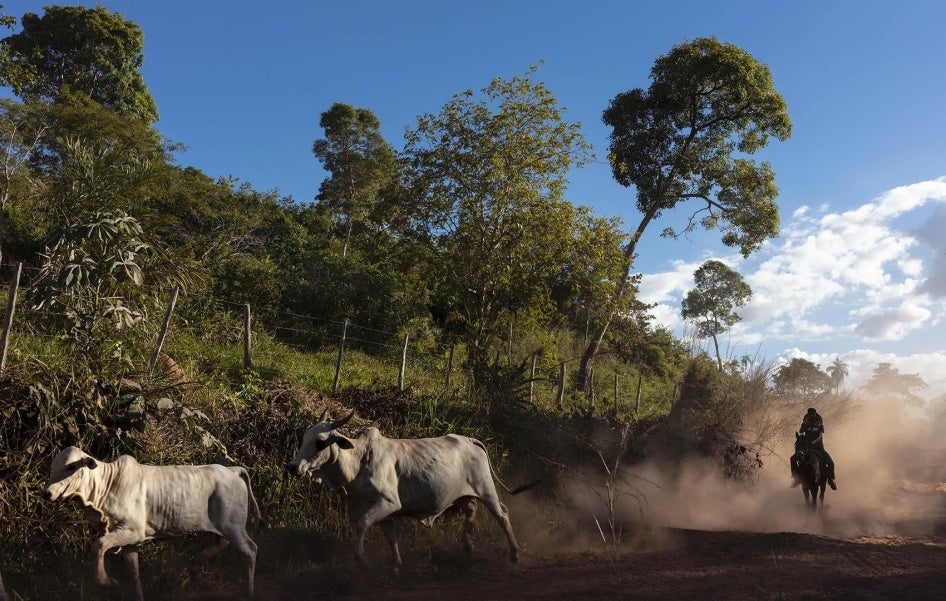 201909AME_Brazil_Rainforest_Defenders_photo