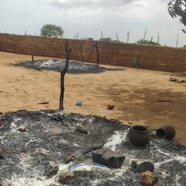 Burned down dwelling in Misterei, Sudan, after the May 28 attack. 